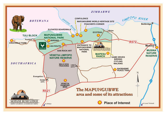 Safari Lodge in South Africa | Safari in Limpopo | Mopane Bush Lodge
