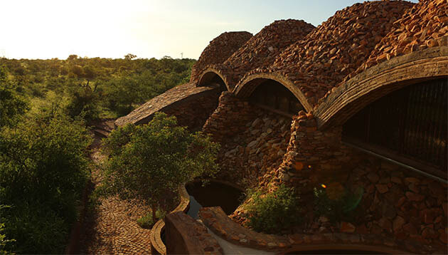Safari Lodge in South Africa | Safari in Limpopo | Mopane Bush Lodge