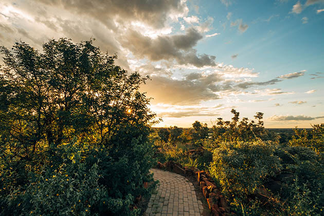 Mapesu Private Game Reserve | Mopane Bush Lodge
