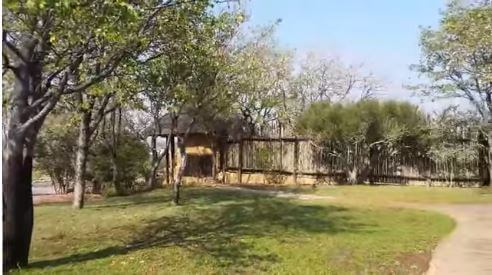 Safari Lodge in South Africa | Safari in Limpopo | Mopane Bush Lodge