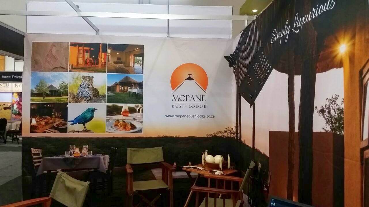 Safari Lodge in South Africa | Safari in Limpopo | Mopane Bush Lodge