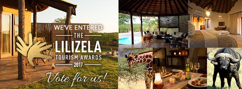 Safari Lodge in South Africa | Safari in Limpopo | Mopane Bush Lodge