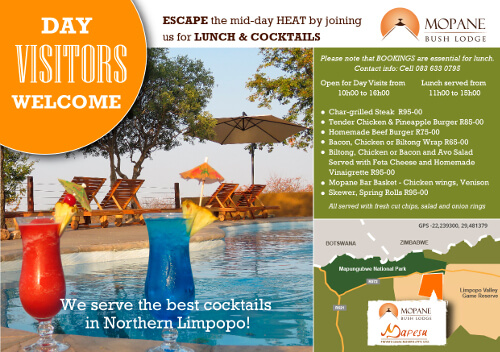 Safari Lodge in South Africa | Safari in Limpopo | Mopane Bush Lodge