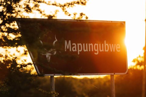 Safari Lodge in South Africa | Safari in Limpopo | Mopane Bush Lodge