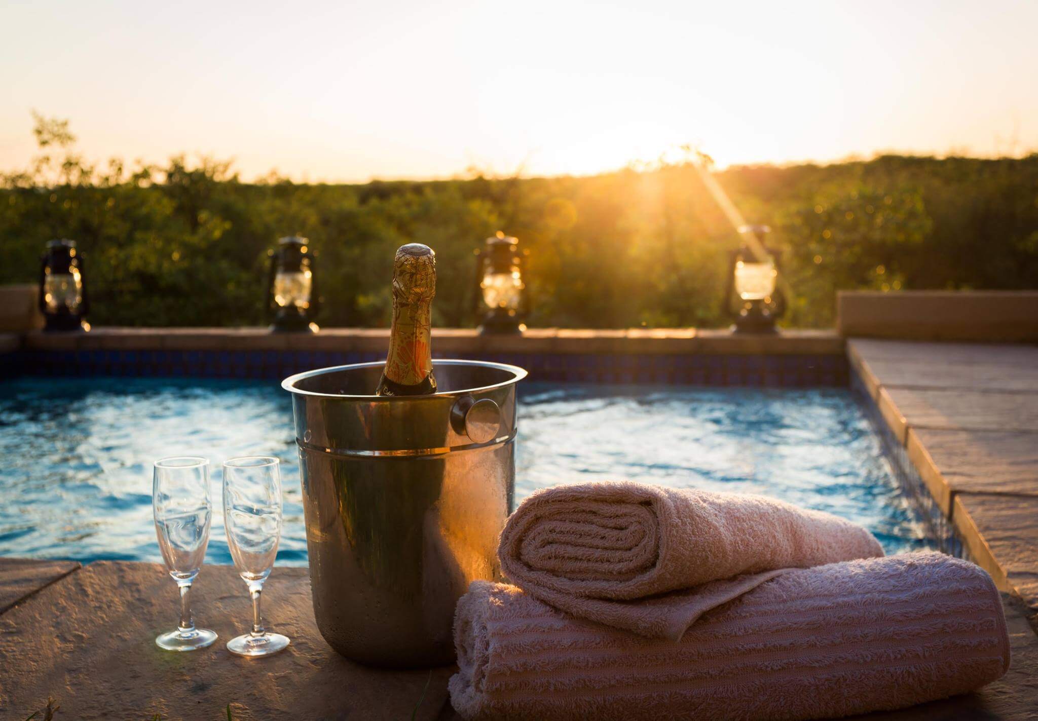 Safari lodge in south africa | Mopane Bush Lodge