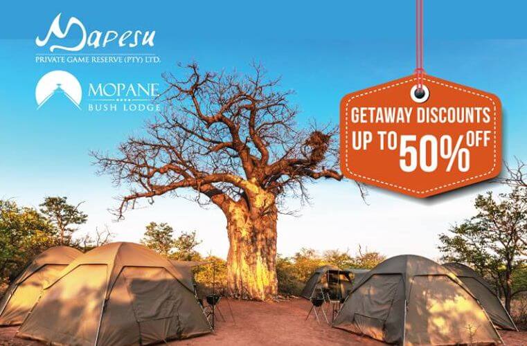 camping in south africa, musina, limpopo