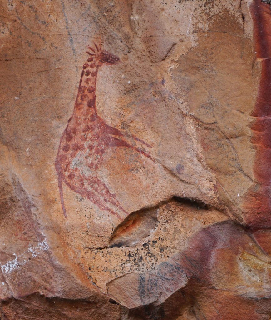 rock art shelter | mopane bush lodge