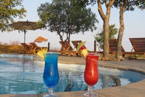 food in south africa | mopane bush lodge