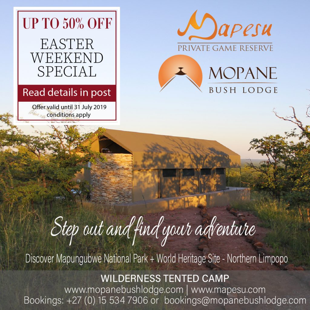 Safari Lodges in South Africa | Game Lodges in South Africa | Limpopo Lodges