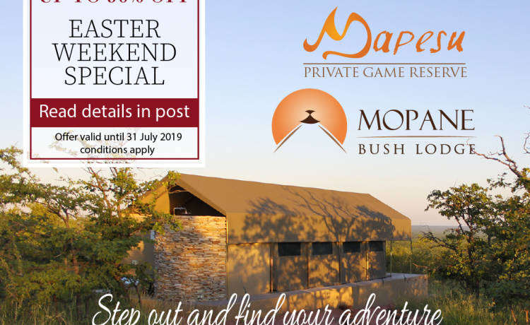 Safari Lodges in South Africa | Game Lodges in South Africa | Limpopo Lodges